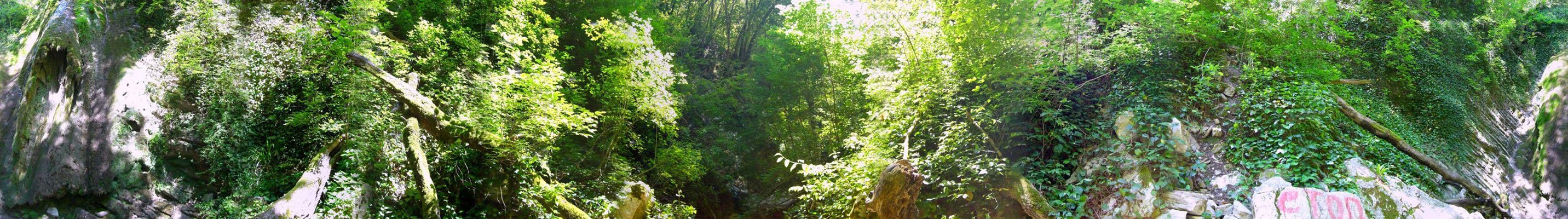 Верховья ущелья - круговая панорама